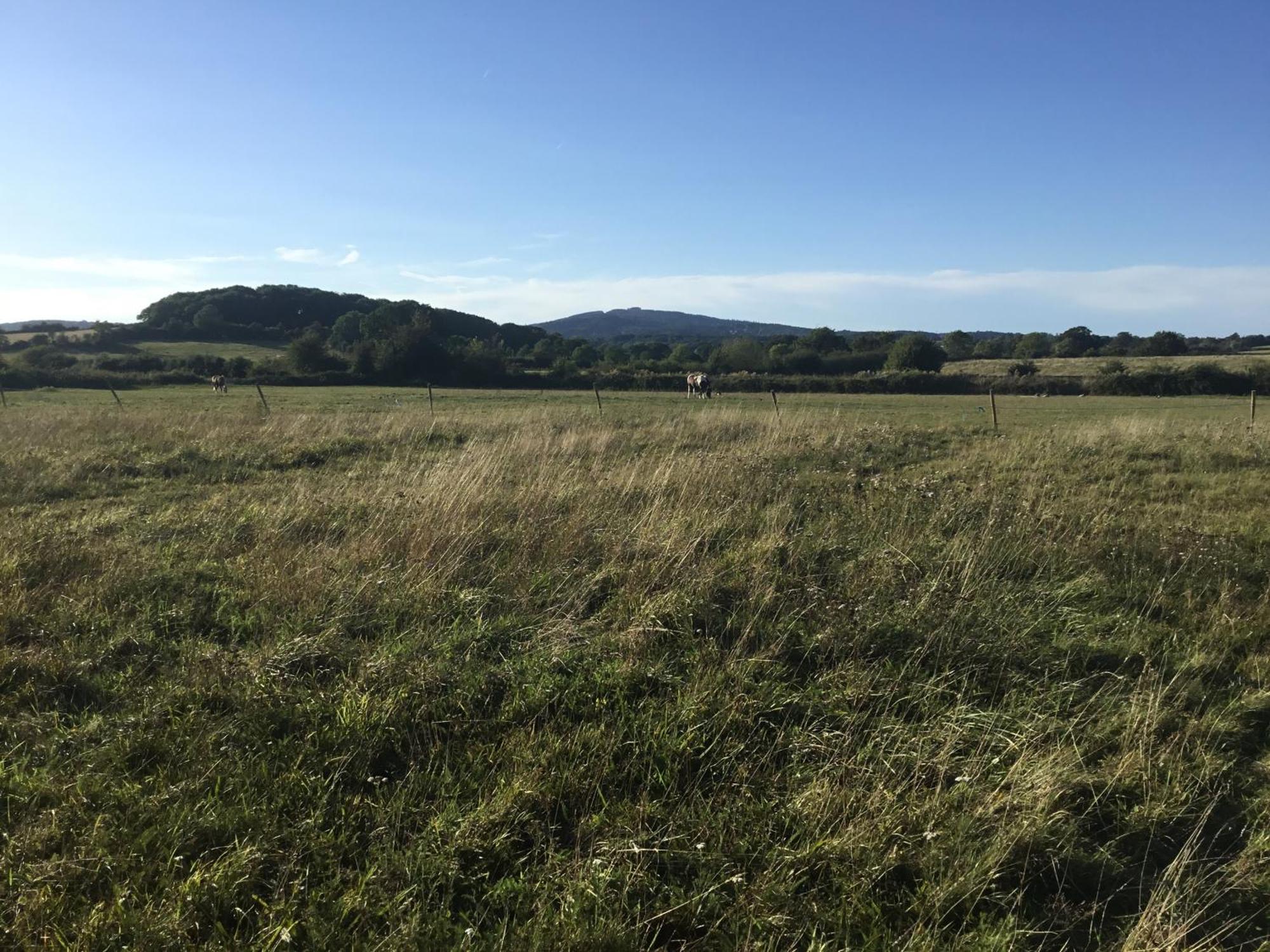 Green Fields Glamping Hotel Gloucester Eksteriør billede